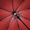 Umbrella with lighting Umbrella with lighting
