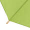Tips of umbrella Tips of umbrella