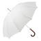white umbrella white umbrella