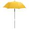 Opened parasol Opened parasol